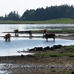 Skibstedgaard Hurup