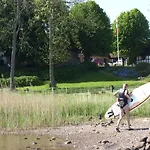 Skibstedgaard Farmház Hurup