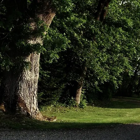 Skibstedgaard Farm stay *