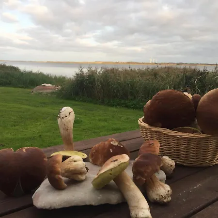 Skibstedgaard * Hurup