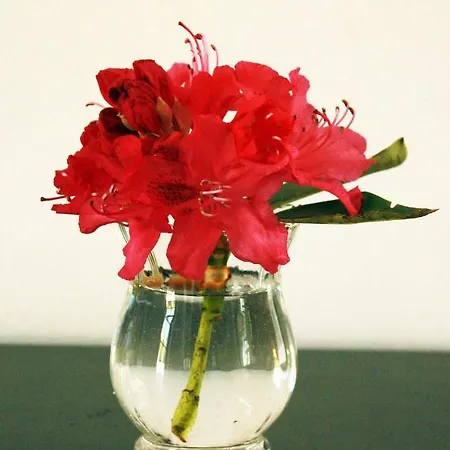 Skibstedgaard Farm stay *