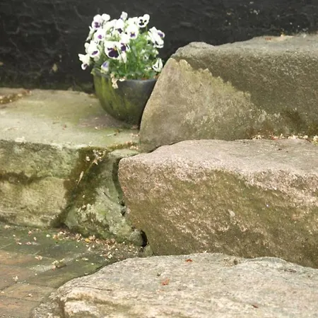 Skibstedgaard 农家乐