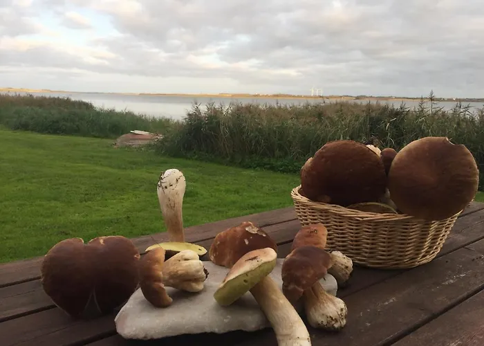 Skibstedgaard * Hurup