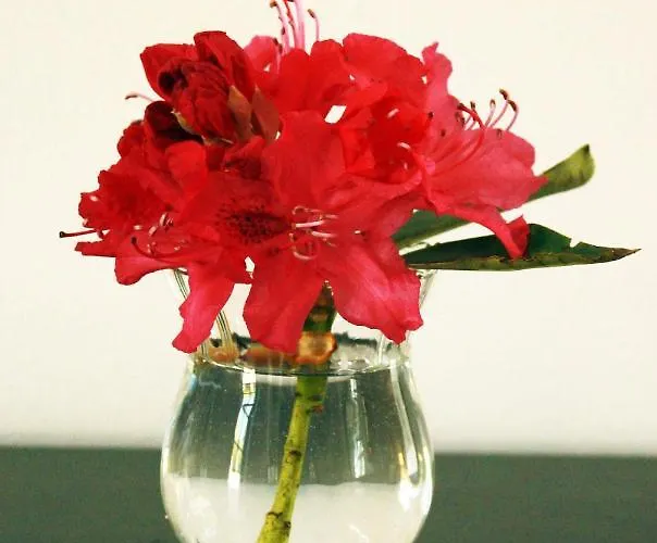 Skibstedgaard Farm stay *