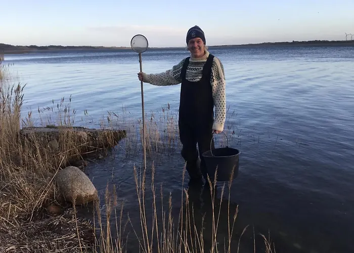 Farm stay Skibstedgaard Hurup