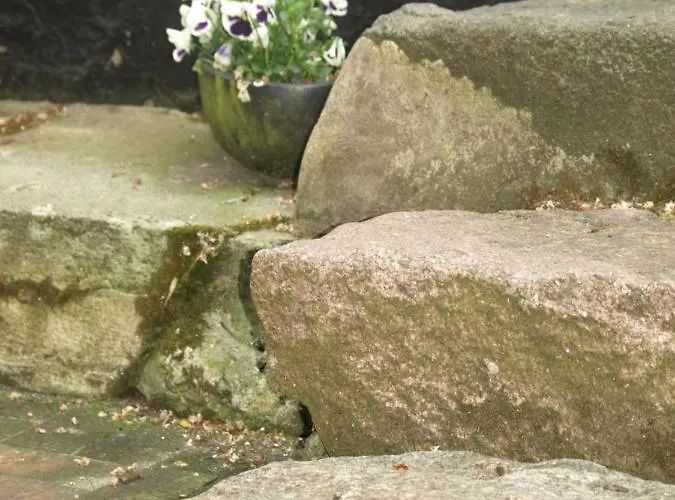 Skibstedgaard Farm stay